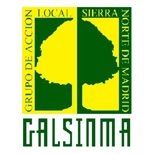 logo-galsinma-cuadrado